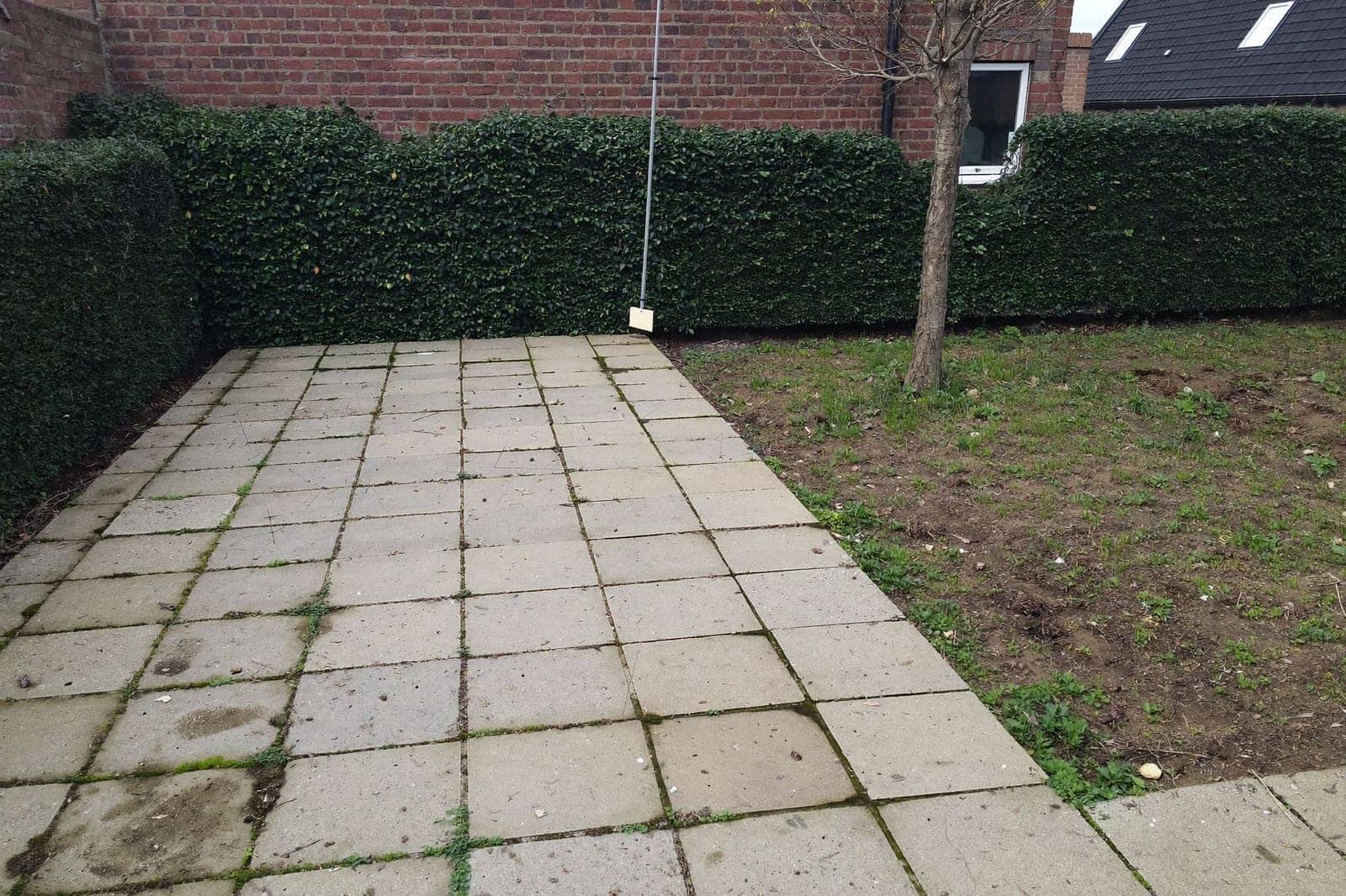 Opgeruimde achtertuin met vrijgemaakt terras en gesnoeide haag na een tuinopkuis